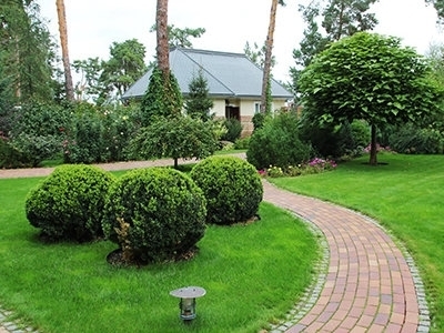 Благоустройство и озеленение территории